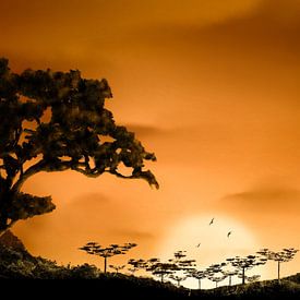 Zonsondergang Afrika van DominixArt