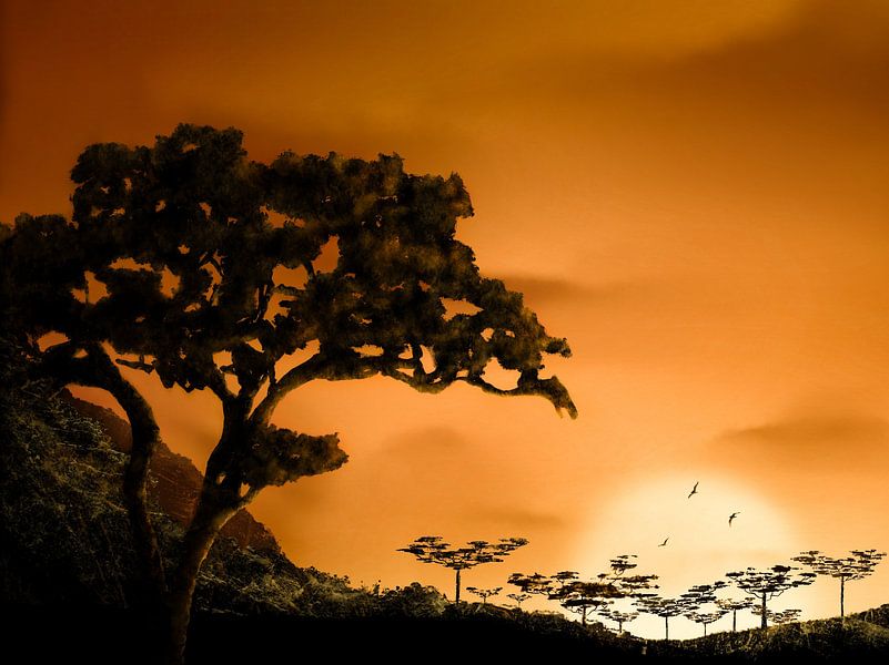 Sonnenuntergang Afrika von DominixArt