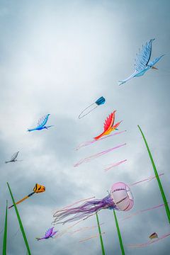 kite days by Peter Smeekens