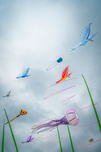 kite days