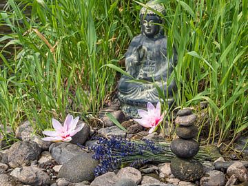 Buddha sitting in the grass in a Japanese garden by Animaflora PicsStock