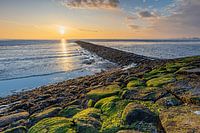 Dike view at the Bight of Watum