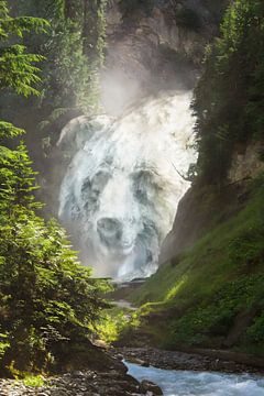 Surrealistisch dierenlandschap Bear Creek Waterfall van Martijn Schrijver