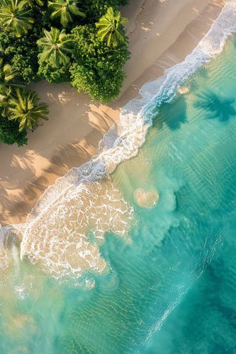 Water en palmbomen