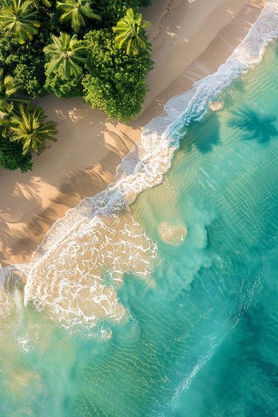Water and palm trees by Poster Art Shop