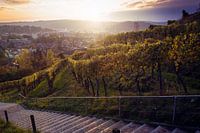 Winterthur