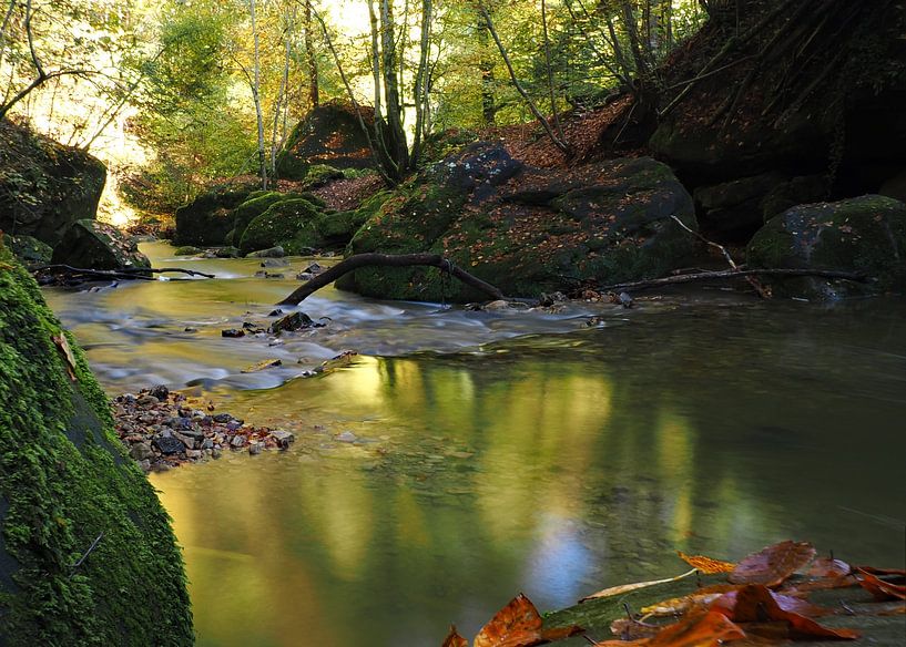 Die andere Seite des Flusses am Schiessentümpel im Mullerthal von Aagje de Jong