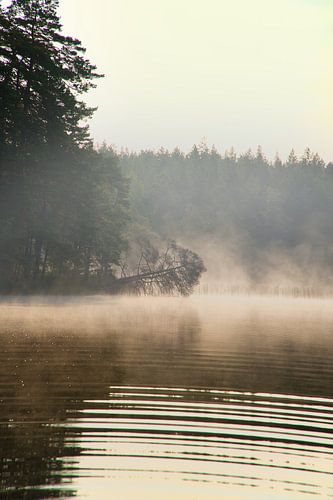 Zonsopgang met mist boven een meer in Zweden, bij zonsopgang