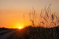 Sunset / Zonsondergang