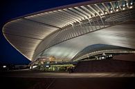 Liège-Guillemins Bahnhof in der Nacht von Arjan Groot Miniaturansicht