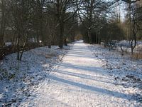 Wandelpad