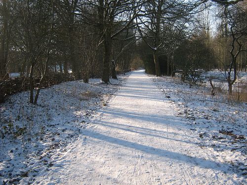 Footpath by Sjoerd Jelle Wiersma