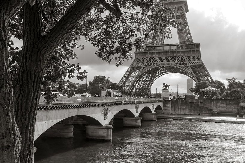 The Eiffel Tower on the Seine by Emajeur Fotografie