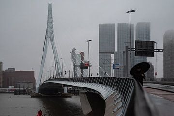 Rotterdam in the rain