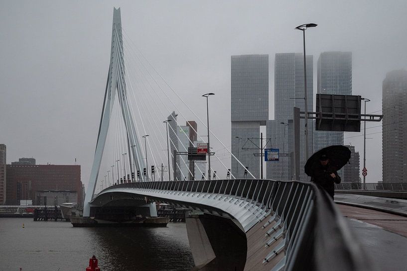 Rotterdam in de regen van Mark de Groot