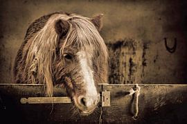 Die Nacht wird von Tag zu Tag älter von Michel Derksen