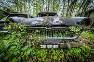 Oldtimer voiture dans la forêt par Inge van den Brande Aperçu