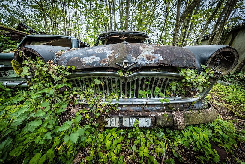 Oldtimer auto in het bos van Inge van den Brande