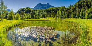 Schwanseepark