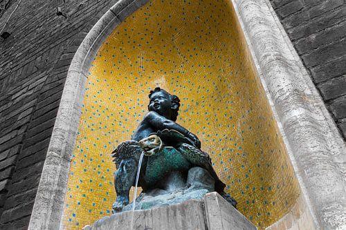 The boy & the turtle