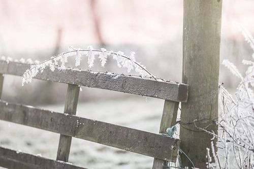 Zonsopkomst in de winter