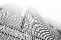 Misty Rotterdam