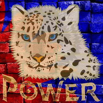 POWER - Cheetah op de muur