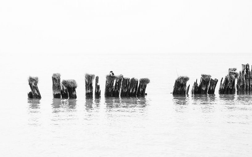 Photographie en noir et blanc de bornes usées dans l'eau. par KB Design & Photography (Karen Brouwer)