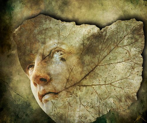 La feuille qui tombe - H. Fischer