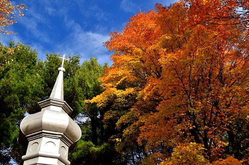 Het museumpark in de herfst