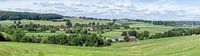 Panorama  van het Zuid-Limburgse landschap in de buurt van Epen van John Kreukniet thumbnail