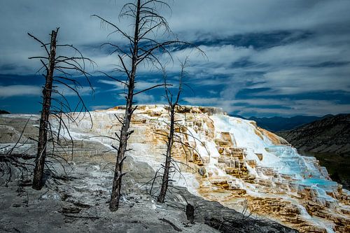 Mammoth Upper Terraces, Yellowstone National Park