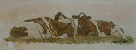 Ruminant cows by Wim Romijn