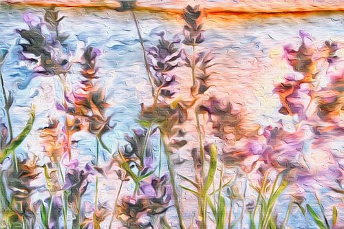 Lavendel Provence Feeling