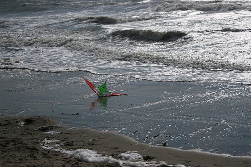 Kite in the water