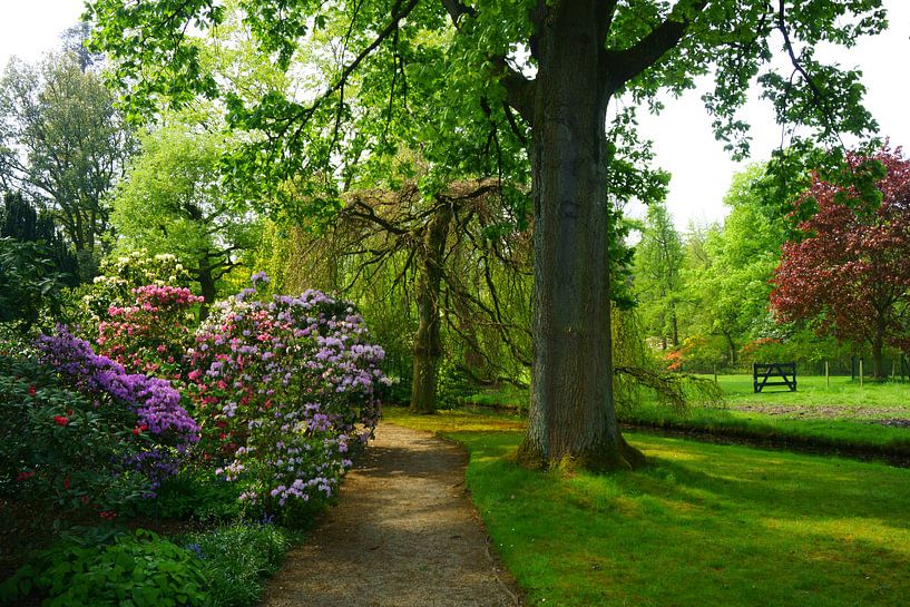 Arboretum Trompenburg par Michel van Kooten