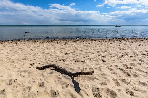 Strandgut - Zuidelijk strand in Göhren op het eiland Rügen