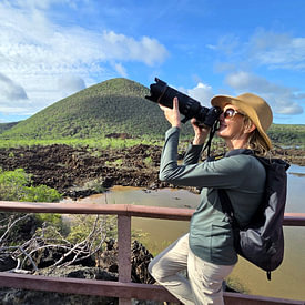 Nancy Pauwels Photo Profile picture