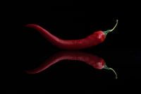 Red Hot Chili Pepper
