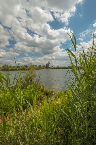 Molen de Steendert met mooie wolkenlucht