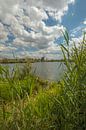 Molen de Steendert met mooie wolkenlucht van Moetwil en van Dijk - Fotografie thumbnail