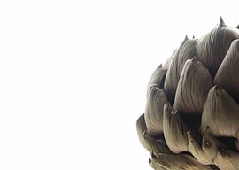 Artichoke
