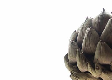 Artichoke by hetty'sfotografie