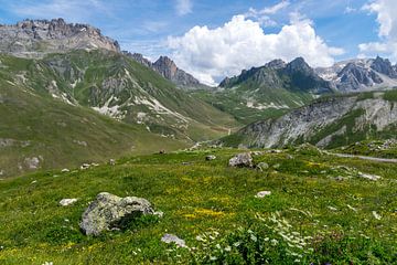 Prachtig uitzicht op de bergen in de Franse Alpen van Linda Schouw