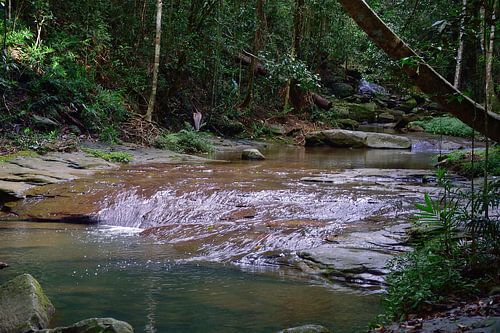 Martins Creek langs gladde rotsen