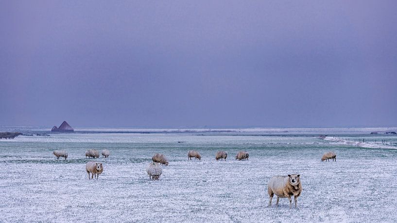 Paysage d'hiver à Texel par Texel360Fotografie Richard Heerschap