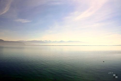 Het Bodenmeer in de lente