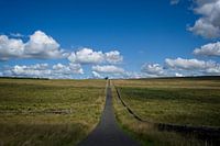 Der Weg zum Horizont