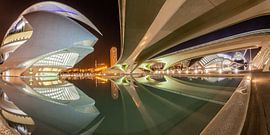 La ville des arts et des sciences de Valence