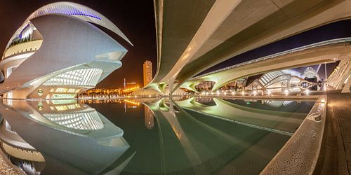 Valencia city of arts and sciences